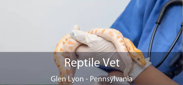 Reptile Vet Glen Lyon - Pennsylvania