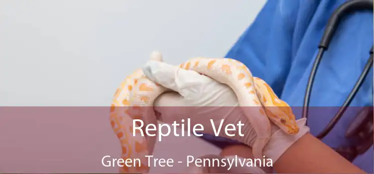 Reptile Vet Green Tree - Pennsylvania