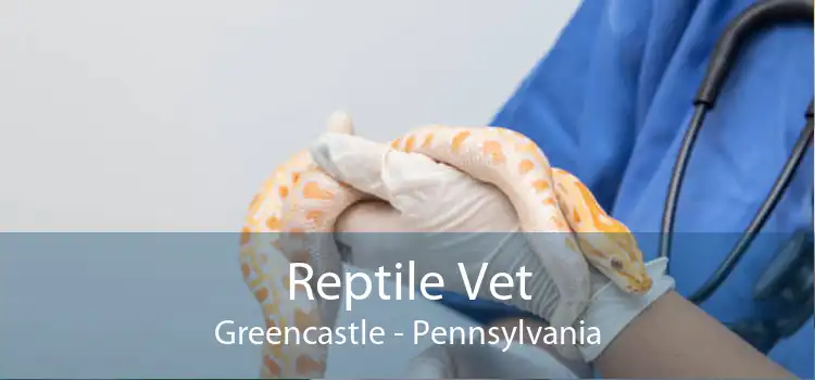 Reptile Vet Greencastle - Pennsylvania