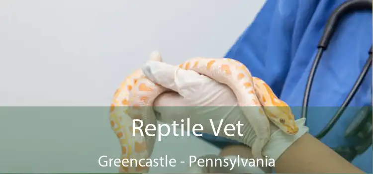 Reptile Vet Greencastle - Pennsylvania