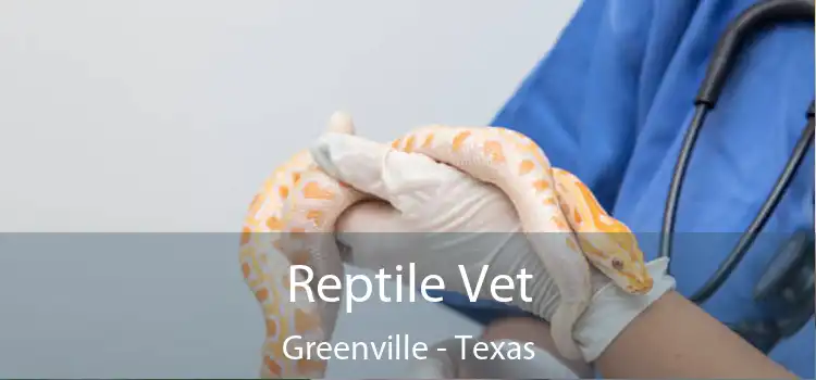 Reptile Vet Greenville - Texas