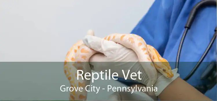 Reptile Vet Grove City - Pennsylvania