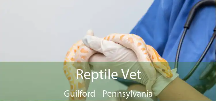 Reptile Vet Guilford - Pennsylvania