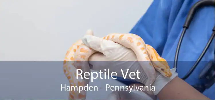 Reptile Vet Hampden - Pennsylvania