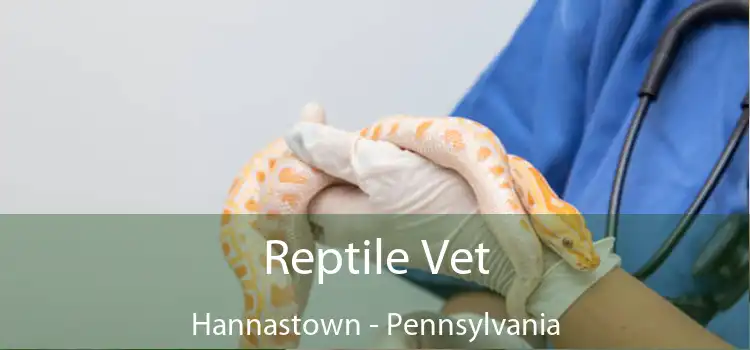 Reptile Vet Hannastown - Pennsylvania
