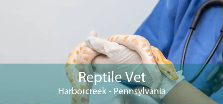Reptile Vet Harborcreek - Pennsylvania