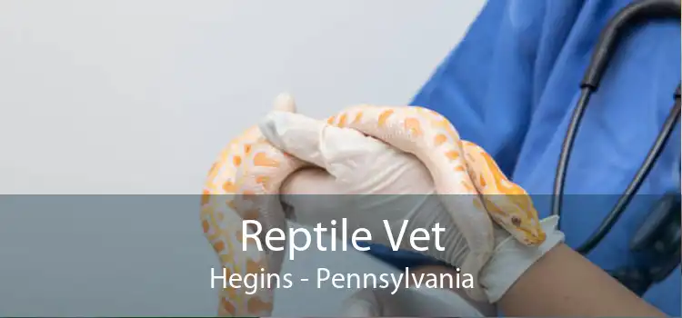 Reptile Vet Hegins - Pennsylvania
