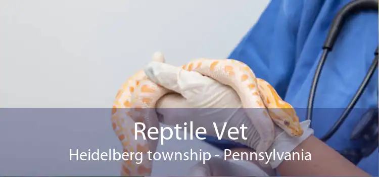 Reptile Vet Heidelberg township - Pennsylvania