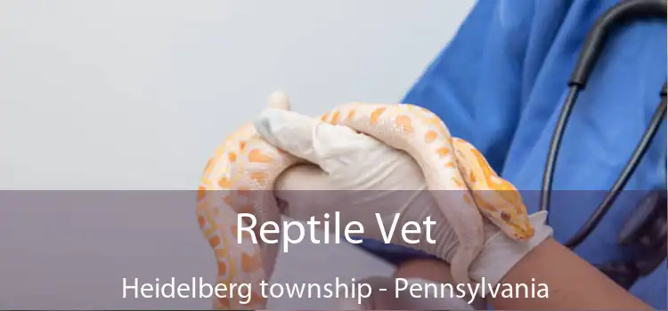 Reptile Vet Heidelberg township - Pennsylvania
