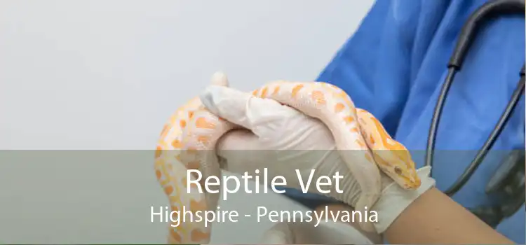 Reptile Vet Highspire - Pennsylvania