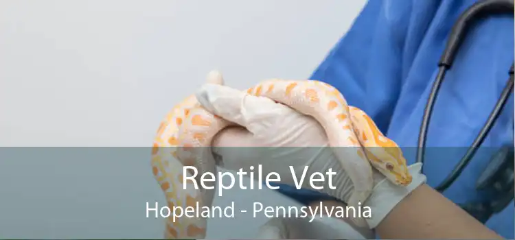 Reptile Vet Hopeland - Pennsylvania