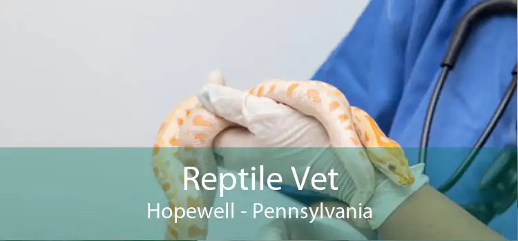 Reptile Vet Hopewell - Pennsylvania