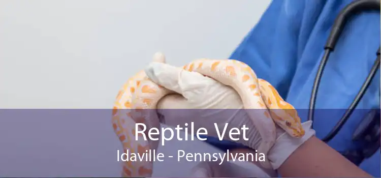 Reptile Vet Idaville - Pennsylvania