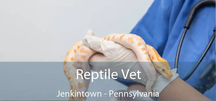 Reptile Vet Jenkintown - Pennsylvania