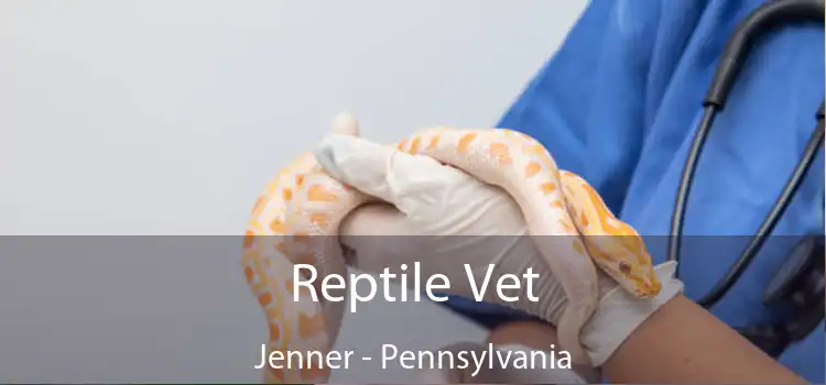 Reptile Vet Jenner - Pennsylvania