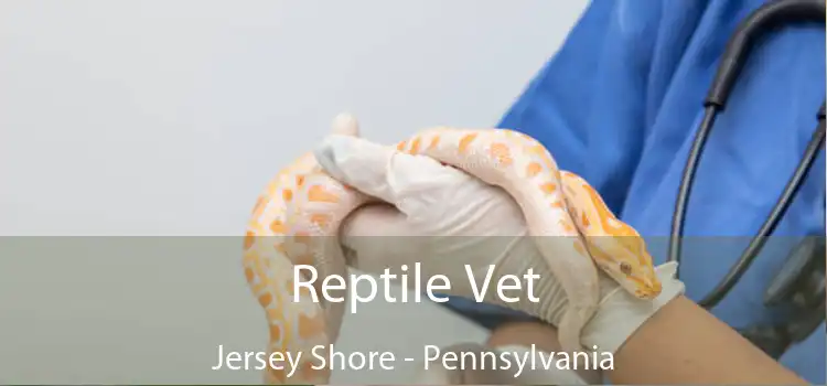 Reptile Vet Jersey Shore - Pennsylvania