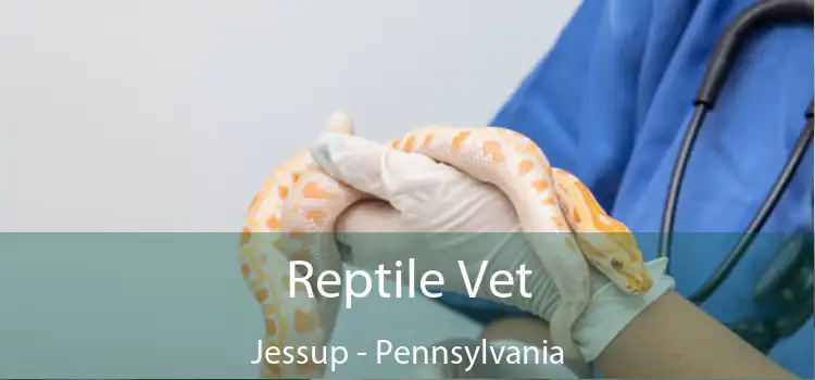 Reptile Vet Jessup - Pennsylvania