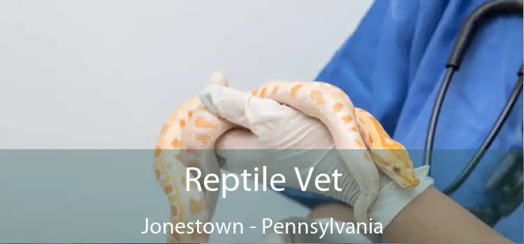 Reptile Vet Jonestown - Pennsylvania