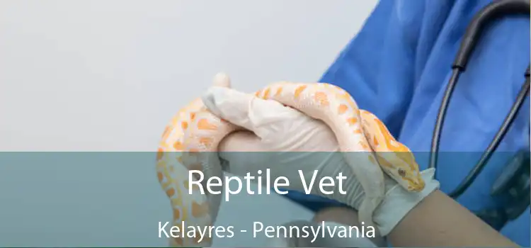 Reptile Vet Kelayres - Pennsylvania