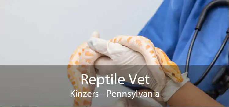 Reptile Vet Kinzers - Pennsylvania