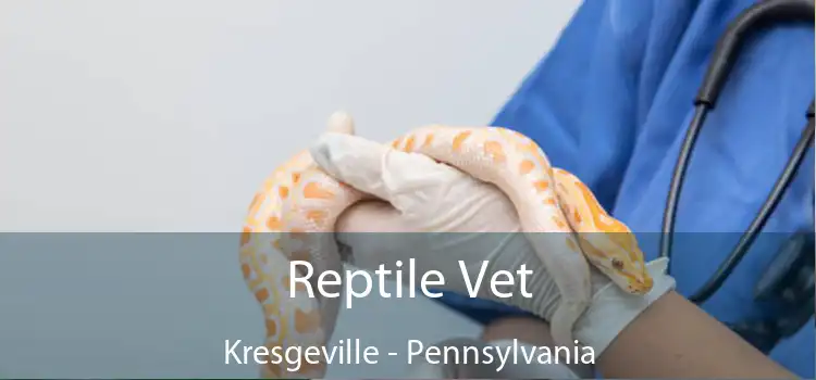Reptile Vet Kresgeville - Pennsylvania