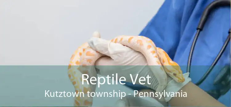 Reptile Vet Kutztown township - Pennsylvania