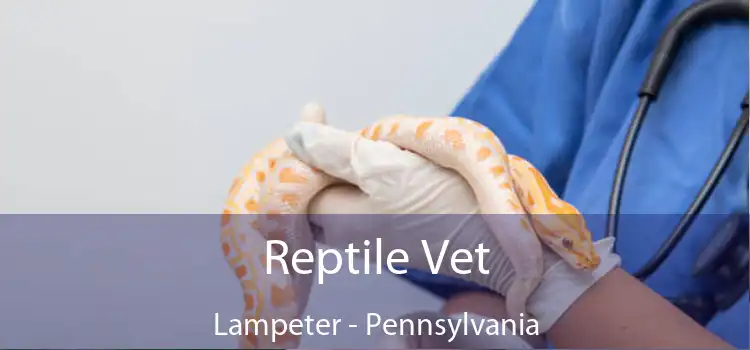 Reptile Vet Lampeter - Pennsylvania