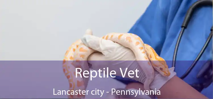 Reptile Vet Lancaster city - Pennsylvania