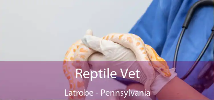 Reptile Vet Latrobe - Pennsylvania