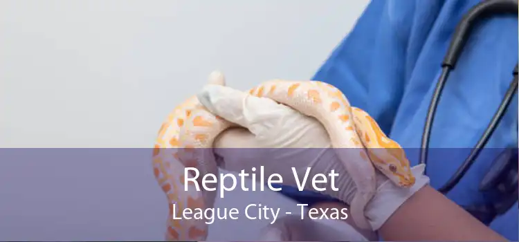Reptile Vet League City - Texas