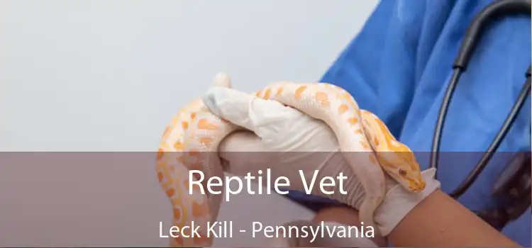 Reptile Vet Leck Kill - Pennsylvania