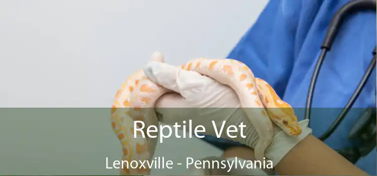 Reptile Vet Lenoxville - Pennsylvania