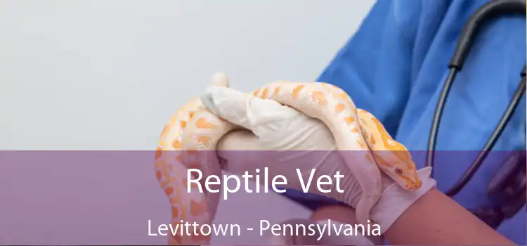 Reptile Vet Levittown - Pennsylvania