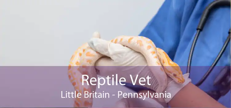 Reptile Vet Little Britain - Pennsylvania
