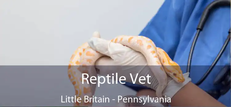 Reptile Vet Little Britain - Pennsylvania