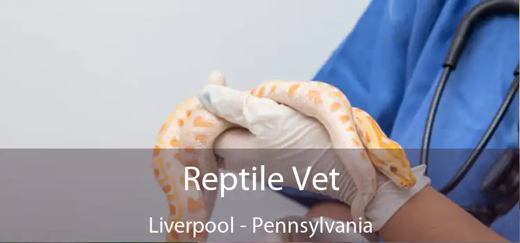 Reptile Vet Liverpool - Pennsylvania