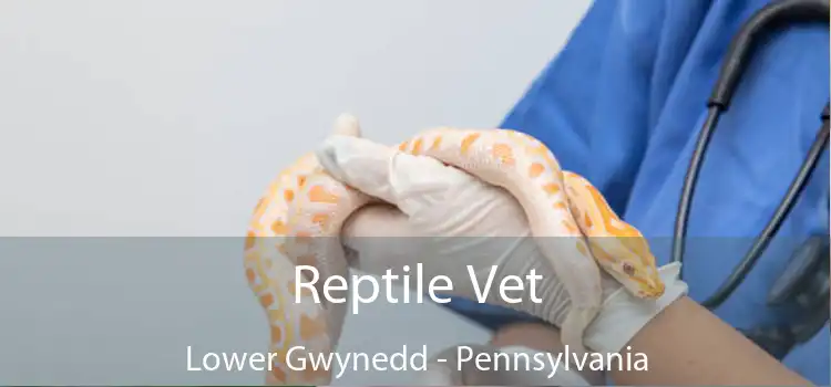 Reptile Vet Lower Gwynedd - Pennsylvania