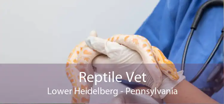 Reptile Vet Lower Heidelberg - Pennsylvania