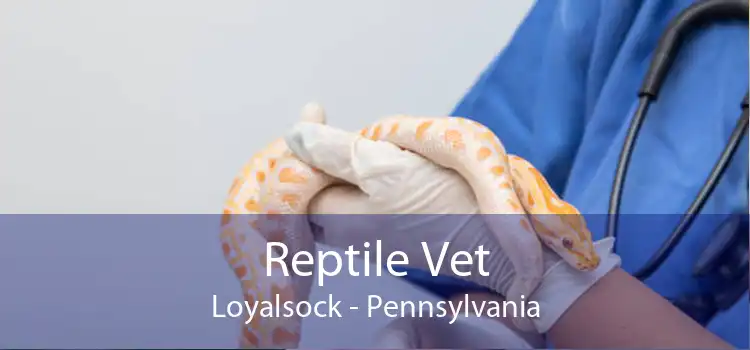 Reptile Vet Loyalsock - Pennsylvania