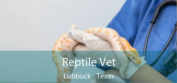 Reptile Vet Lubbock - Texas
