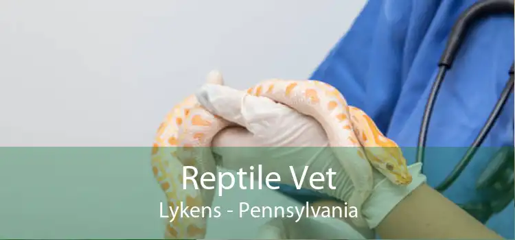 Reptile Vet Lykens - Pennsylvania