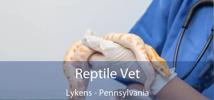 Reptile Vet Lykens - Pennsylvania