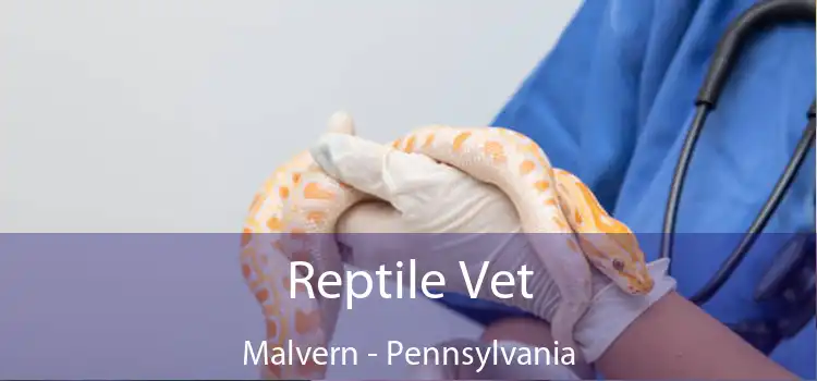 Reptile Vet Malvern - Pennsylvania