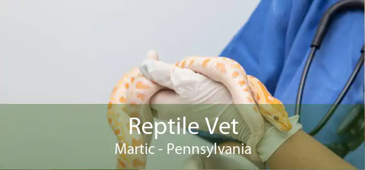 Reptile Vet Martic - Pennsylvania