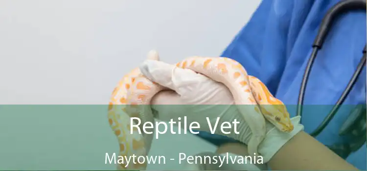 Reptile Vet Maytown - Pennsylvania
