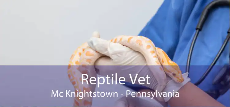 Reptile Vet Mc Knightstown - Pennsylvania