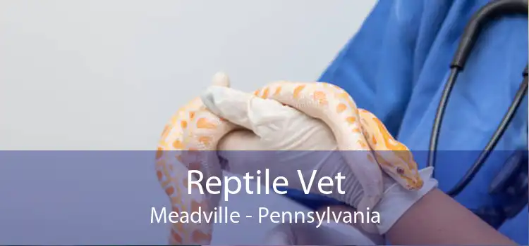 Reptile Vet Meadville - Pennsylvania