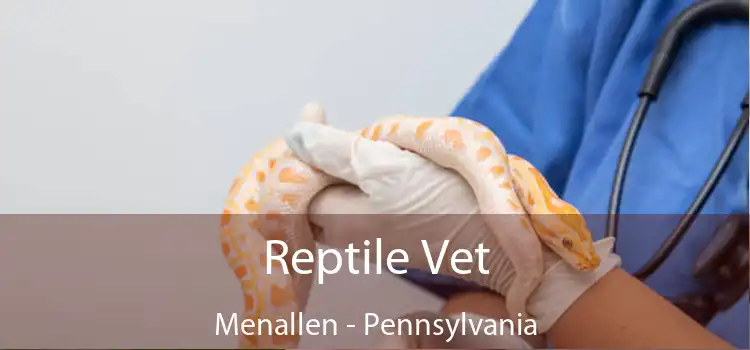 Reptile Vet Menallen - Pennsylvania