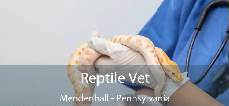 Reptile Vet Mendenhall - Pennsylvania