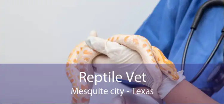 Reptile Vet Mesquite city - Texas
